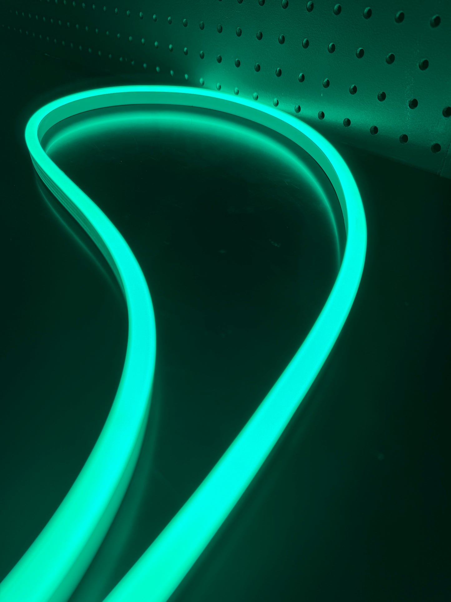LED NEON FLEX 12V, 16x8mm, Mint (NEW!)