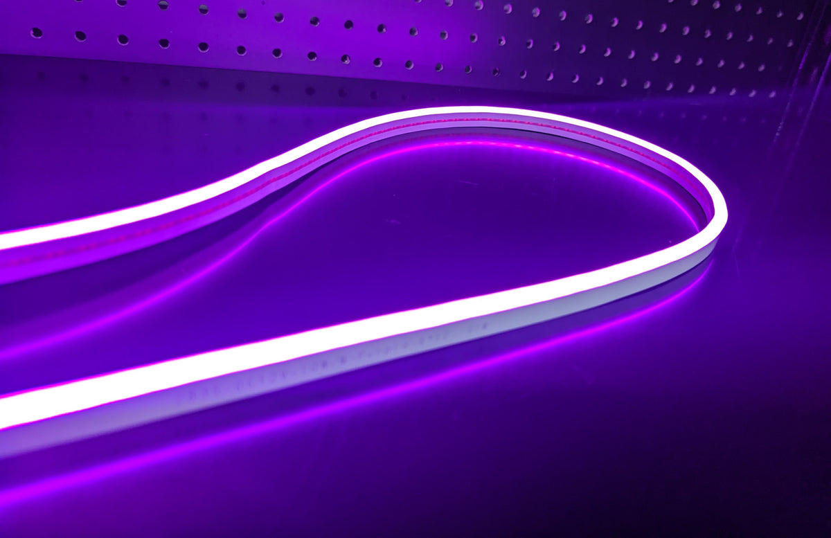 LED NEON FLEX 12V, 16x8mm, Purple – Neon Flex Studio